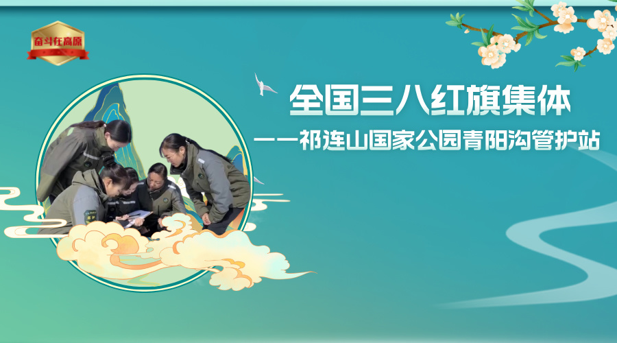 雨水24节气图文风横版海报__2025-04-16+16_49_42.jpg